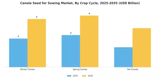 Canola Seed For Sowing Market
 Segment Image 0