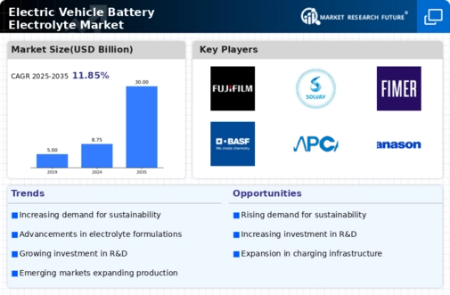 Electric Vehicle Battery Electrolyte Market Infographic