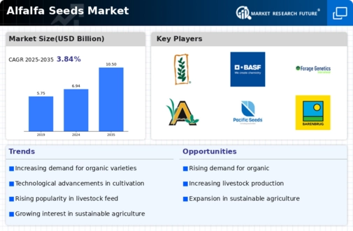 Alfalfa Seeds Market Infographic