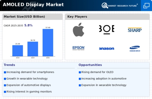 AMOLED Display Market Infographic