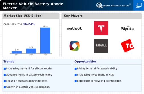 Electric Vehicle Battery Anode Market Infographic