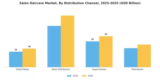 Salon Haircare Market Segment Image 1