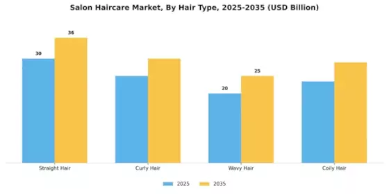 Salon Haircare Market Segment Image 2