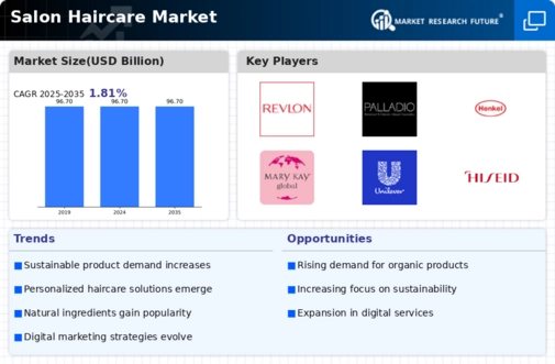Salon Haircare Market Infographic