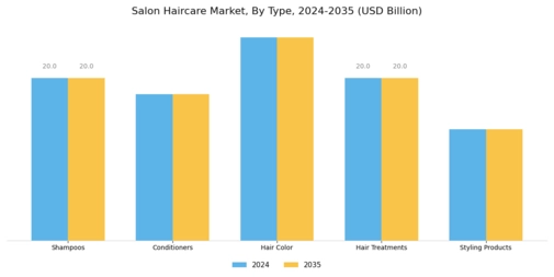 Salon Haircare Market Segment Image 0