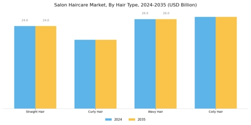 Salon Haircare Market Segment Image 1