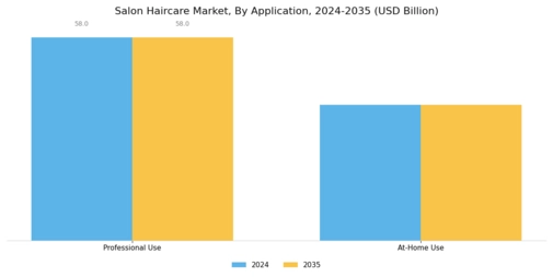 Salon Haircare Market Segment Image 2