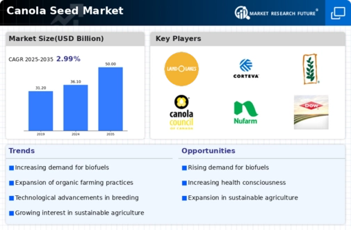 Canola Seed Market
 Infographic