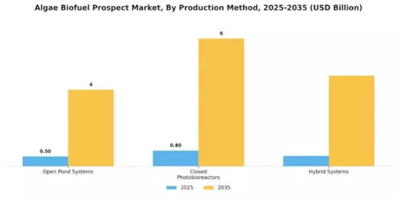 Algae Biofuel Prospect Market Segment Image 2