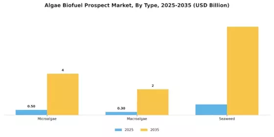 Algae Biofuel Prospect Market Segment Image 3