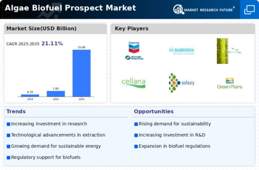 Algae Biofuel Prospect Market Infographic
