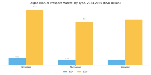 Algae Biofuel Prospect Market Segment Image 0