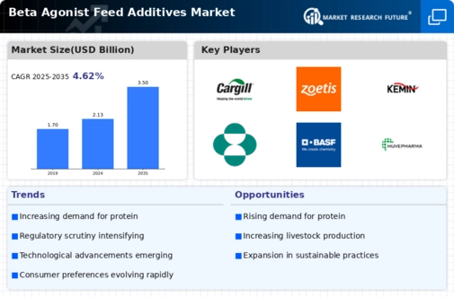 Beta Agonist Feed Additives Market Infographic