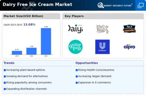 Dairy Free Ice Cream Market Infographic