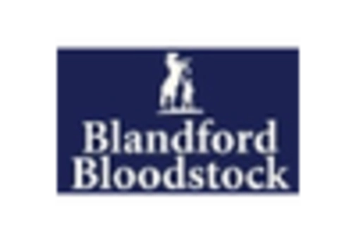 Downhole Drilling Tool Market key player