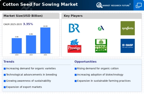 Cotton Seed for Sowing Market Infographic