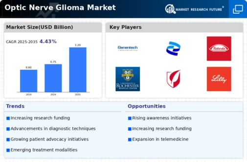 Optic Nerve Glioma Market Infographic