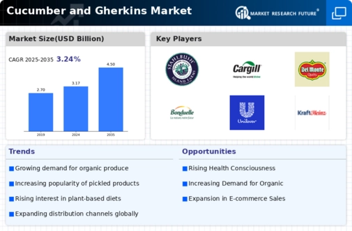 Cucumber and Gherkins Market Infographic