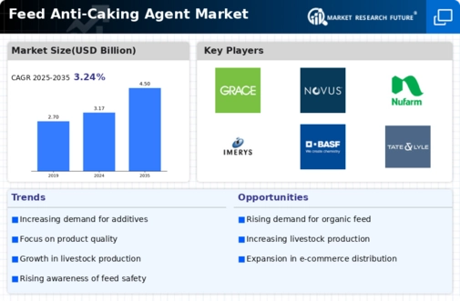 Feed Anti-Caking Agent Market Infographic