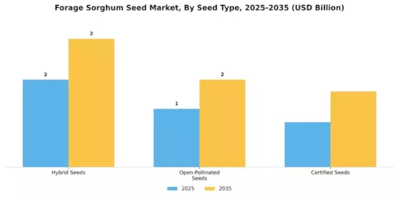 Forage Sorghum Seed Market Segment Image 3