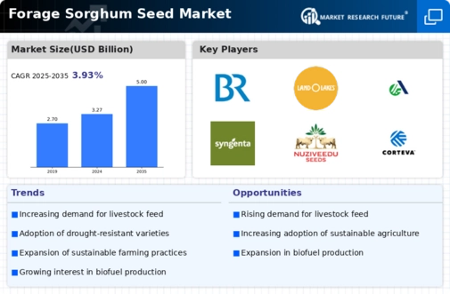 Forage Sorghum Seed Market Infographic