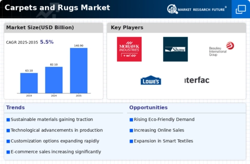 Carpet And Rugs Market Infographic