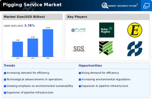 Pigging Service Market Infographic