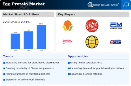Egg Protein Market Infographic