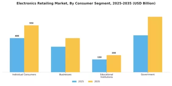 Electronics Retailing Market Segment Image 0