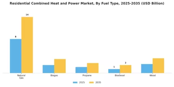 Residential Combined Heat And Power Market Segment Image 1