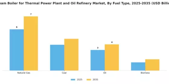 Steam Boiler Thermal Power Plant And Oil Refinery Market Segment Image 3