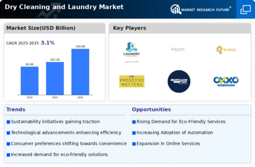 Dry Cleaning Laundry Market Infographic