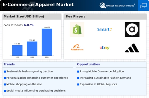 E Commerce Apparel Market Infographic