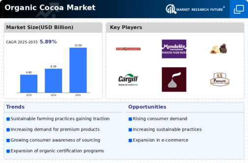 Organic Cocoa Market Infographic