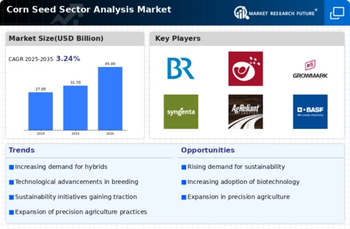 Corn Seed Sector Analysis Market Infographic