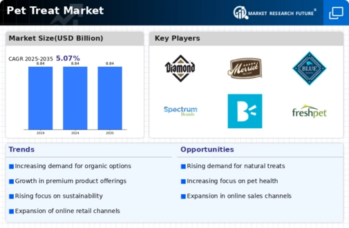 Pet Treat Market Infographic