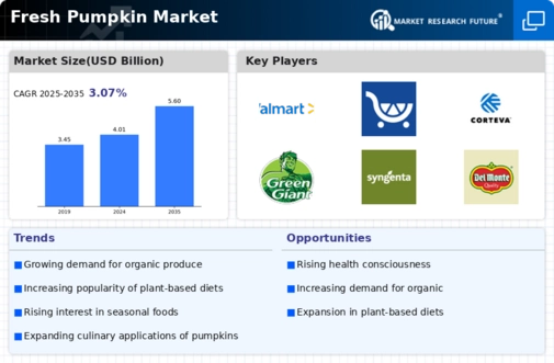 Fresh Pumpkin Market Infographic