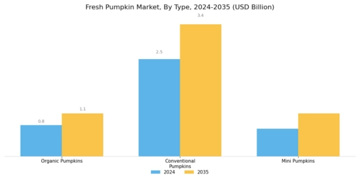 Fresh Pumpkin Market Segment Image 1