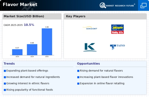 Flavour Market Infographic