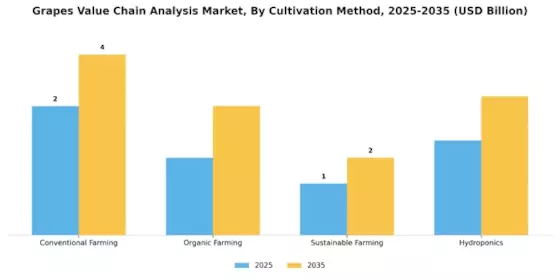 Grapes Value Chain Analysis Market Segment Image 0