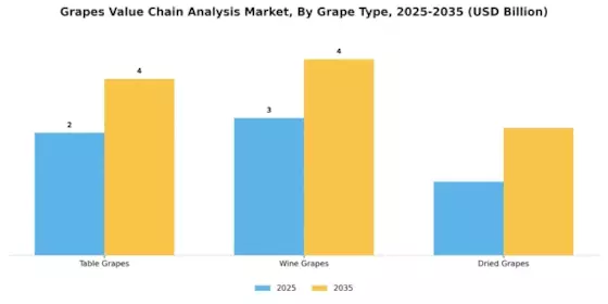 Grapes Value Chain Analysis Market Segment Image 3