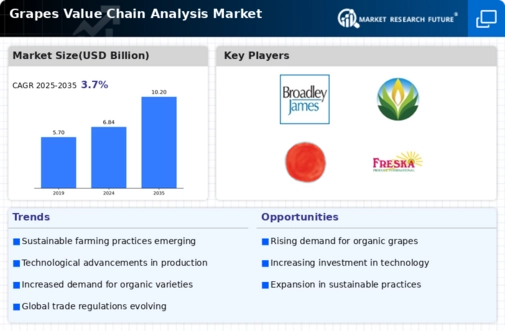Grapes Value Chain Analysis Market Infographic