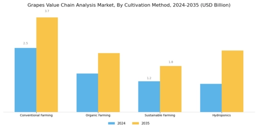 Grapes Value Chain Analysis Market Segment Image 0