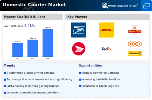 Domestic Courier Market Infographic