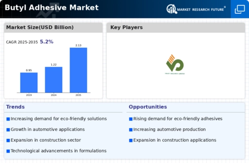 Butyl Adhesive Market Infographic