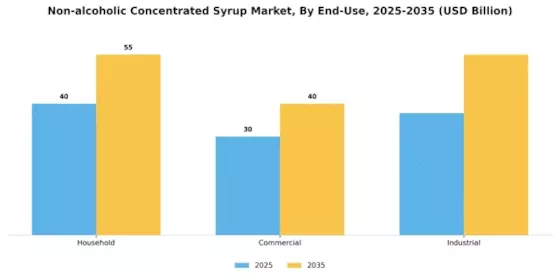 Non Alcoholic Concentrated Syrup Market Segment Image 2