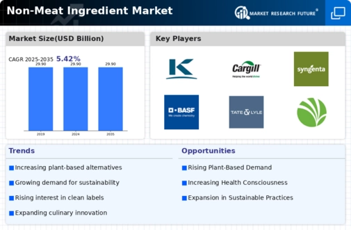 Non Meat Ingredient Market Infographic