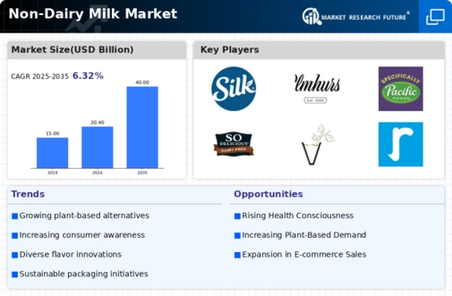 Non Dairy Milk Market Infographic