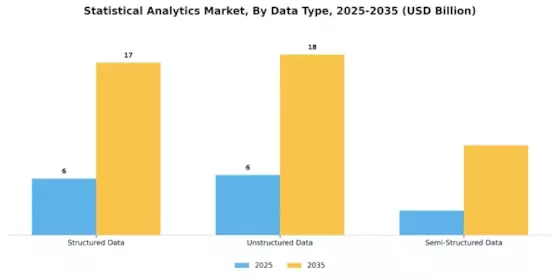 Statistical Analytics Market Segment Image 1