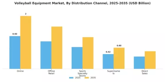 Volleyball Equipment Market Segment Image 0